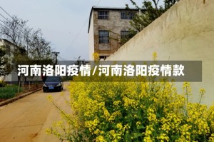 河南洛阳疫情/河南洛阳疫情款