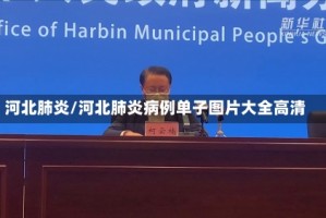 河北肺炎/河北肺炎病例单子图片大全高清