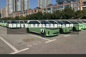 跑滴滴车型(跑滴滴车型需要什么条件?)