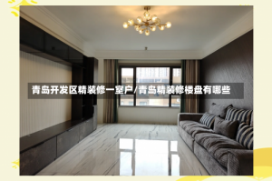 青岛开发区精装修一室户/青岛精装修楼盘有哪些