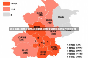 北京新增4例本土阳性/北京新增4例新型冠状病毒感染的肺炎病例