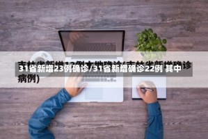 31省新增23例确诊/31省新增确诊22例 其中