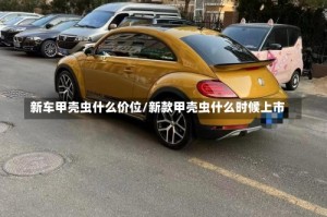 新车甲壳虫什么价位/新款甲壳虫什么时候上市