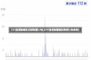 【31省新增确诊22例新疆17例,31个省份新增确诊病例17例新疆】