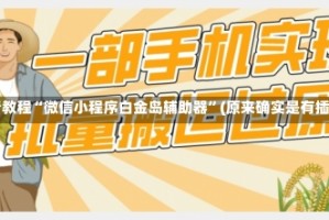 必看教程“微信小程序白金岛辅助器”(原来确实是有插件)