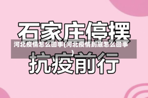河北疫情怎么回事(河北疫情到底怎么回事)