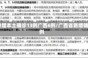 31省份增本土确诊13例广西6例/广西省新增确诊病例