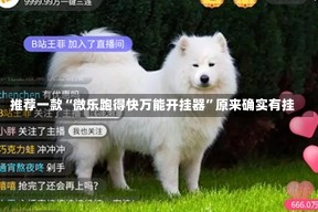 推荐一款“微乐跑得快万能开挂器”原来确实有挂