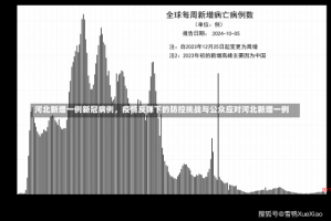 河北新增一例新冠病例，疫情反弹下的防控挑战与公众应对河北新增一例