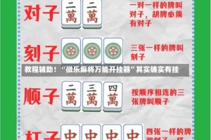 教程辅助！“微乐麻将万能开挂器”其实确实有挂