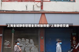 上海全域静态管理全员核酸筛查/上海静态交通