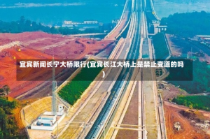 宜宾新闻长宁大桥限行(宜宾长江大桥上是禁止变道的吗)