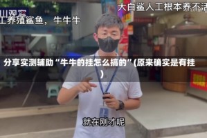 分享实测辅助“牛牛的挂怎么搞的”(原来确实是有挂)