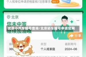 北京小汽车摇号查询/北京轿车摇号申请官网