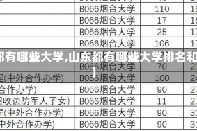 【山东都有哪些大学,山东都有哪些大学排名和分数线】