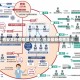 西安本轮疫情源头确定/西安最新疫情源头