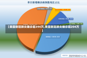 【美国新冠肺炎确诊超394万,美国新冠肺炎确诊超204万】