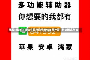 教程辅助！“微信小程序微乐麻将必赢神器”其实确实有挂