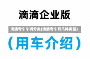 滴滴专车车辆分类(滴滴专车有几种类型)