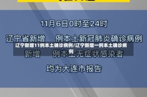 辽宁新增11例本土确诊病例/辽宁新增一例本土确诊病例