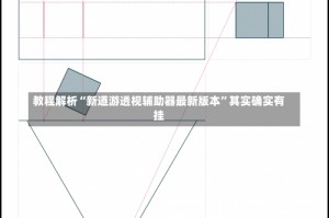 教程解析“新道游透视辅助器最新版本”其实确实有挂