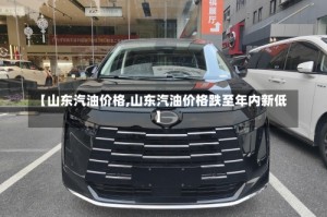 【山东汽油价格,山东汽油价格跌至年内新低】
