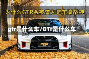 gtr是什么车/GTr是什么车