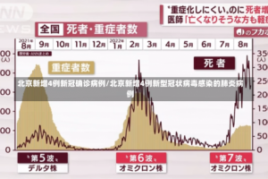 北京新增4例新冠确诊病例/北京新增4例新型冠状病毒感染的肺炎病例