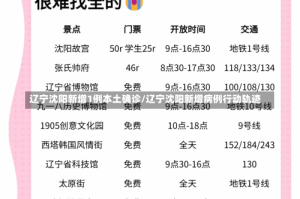 辽宁沈阳新增1例本土确诊/辽宁沈阳新增病例行动轨迹
