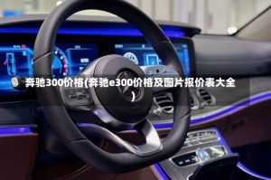 奔驰300价格(奔驰e300价格及图片报价表大全)