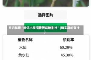 常识科普“微信小程序天天斗地主挂”(确实真的有挂)