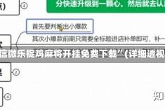 必看教程“微信微乐捉鸡麻将开挂免费下载”(详细透视教程)-知乎