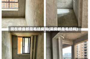 现在楼盘都是毛坯房吗(买房都是毛坯吗)