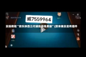 实操教程“微乐陕西三代辅助器免费版”(原来确实是有插件)