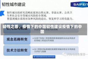 韧性之盾，疫情下的中国韧性建设疫情下的中国