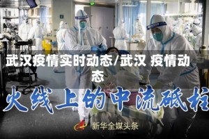 武汉疫情实时动态/武汉 疫情动态