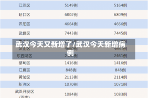 武汉今天又新增了/武汉今天新增病例