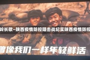 秦岭长歌—陕西疫情防控阻击战纪实陕西疫情防控