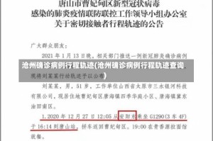 沧州确诊病例行程轨迹(沧州确诊病例行程轨迹查询)
