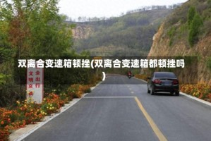 双离合变速箱顿挫(双离合变速箱都顿挫吗)