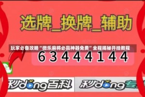 玩家必备攻略“微乐麻将必赢神器免费”全程揭秘开挂教程