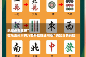 
玩家必看教程”
微乐湖南麻将万能开挂器通用版”确实真的有挂