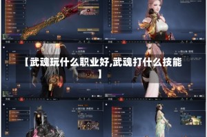 【武魂玩什么职业好,武魂打什么技能】