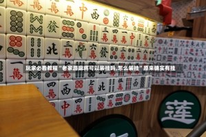 玩家必看教程“老家游麻将可以装挂吗,怎么装挂”原来确实有挂