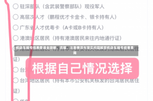 机动车摇号结果查询全攻略，流程、注意事项与常见问题解答机动车摇号结果查询