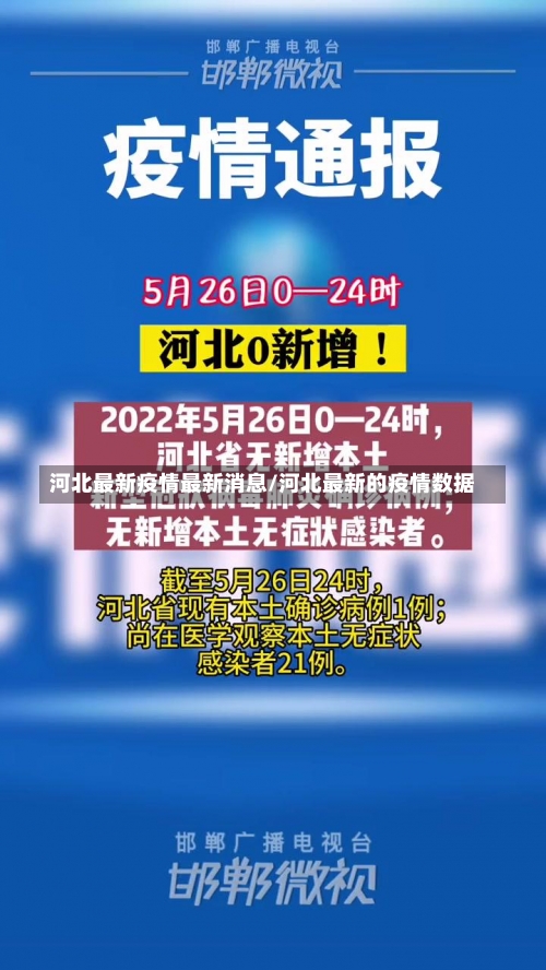 河北最新疫情最新消息/河北最新的疫情数据-第3张图片