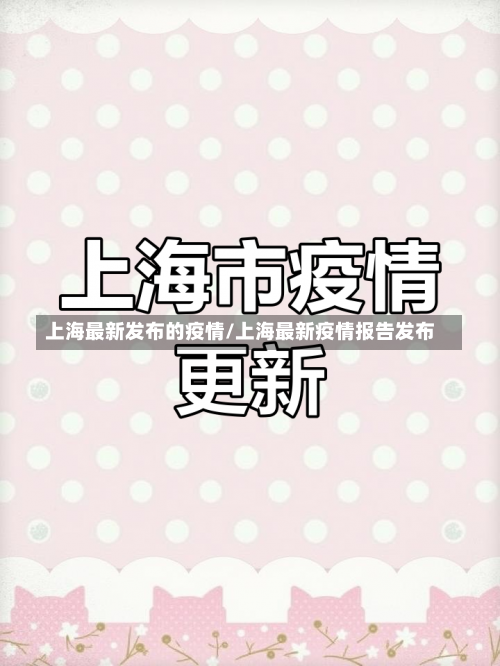 上海最新发布的疫情/上海最新疫情报告发布-第2张图片