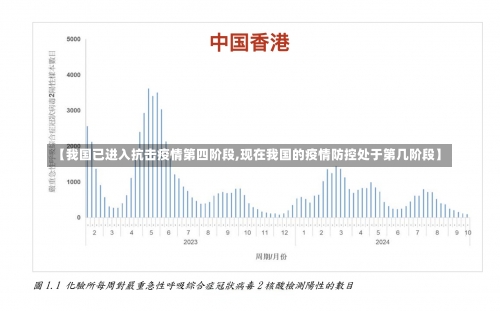 【我国已进入抗击疫情第四阶段,现在我国的疫情防控处于第几阶段】-第2张图片