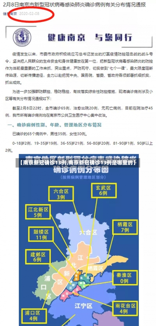 【南京新冠确诊13例,南京新冠确诊13例是哪里的】-第1张图片