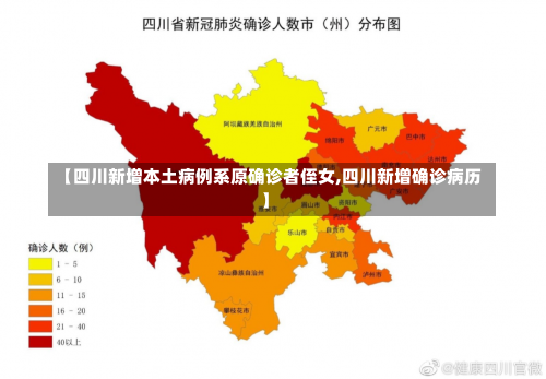 【四川新增本土病例系原确诊者侄女,四川新增确诊病历】-第3张图片